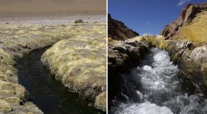 Tribunal Internacional escucha demanda de Chile y Bolivia sobre derechos del río Silala