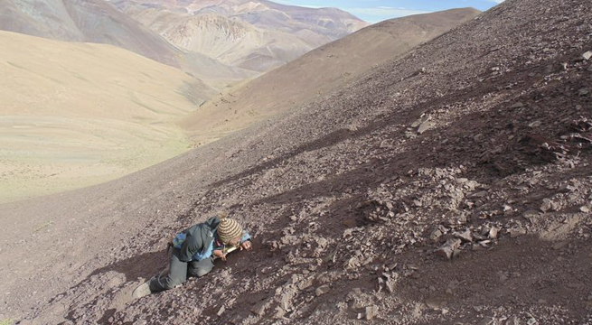 Chile: científicos descubren antiguo cementerio de pterosaurios en el desierto de Atacama