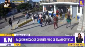 Paro de transportistas: saquean negocios durante las protestas en Ica