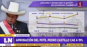 Aprobación del presidente Pedro Castillo bajó a 19%, según encuesta de Ipsos