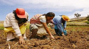 La Libertad firmará convenio con la FAO para afrontar mejor la crisis alimentaria