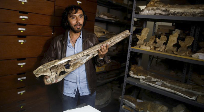Descubrimiento de fósil prehistórico arroja más luces sobre origen marino de los cocodrilos