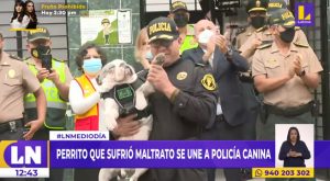 Perrito ‘Max’ que sufrió maltrato se unió a la unidad canina de la Policía