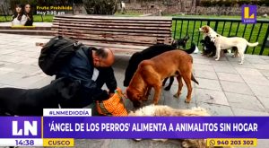 Cusco: ‘Ángel de los perros’ alimenta a animalitos sin hogar