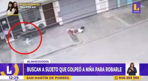 SMP: buscan a sujeto que golpeó a una menor para robarle