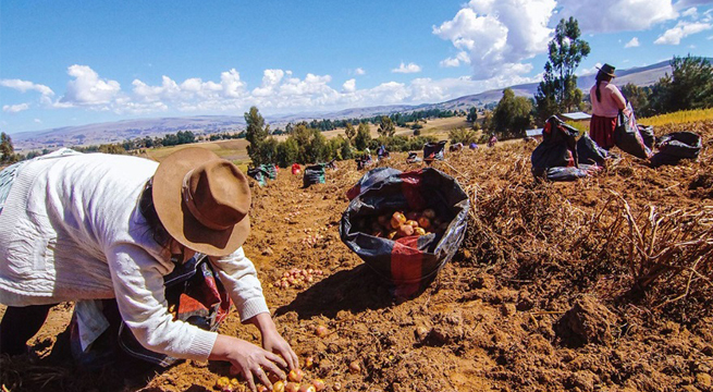 Día del Campesino: Gobierno extiende sus saludos a las mujeres y hombres del campo