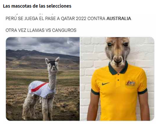 Peru vs Australia memes