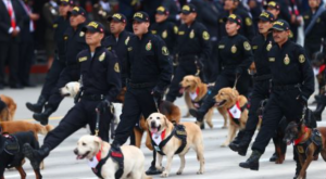 La Unidad de la Policía Canina causó sensación en Gran Parada Militar 2022