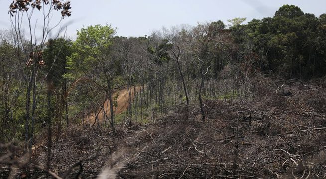 Deforestación en Colombia aumenta y se aleja del objetivo del Gobierno