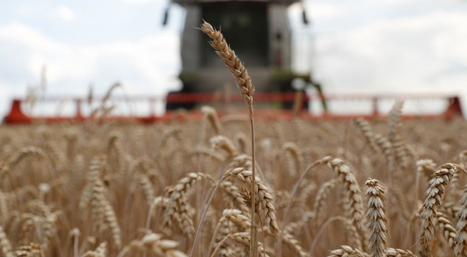 Programa Mundial de Alimentos de la ONU, optimista sobre acuerdo de exportación de grano a Ucrania