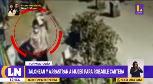 Mujer es arrastrada por delincuente para robarle su cartera en Independencia