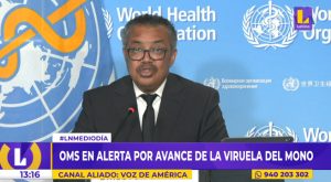 OMS en alerta por avance de la viruela del mono en el mundo