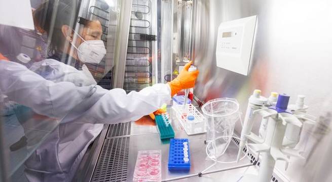 Bavarian Nordic se compromete a ampliar la oferta de la vacuna contra la viruela del mono