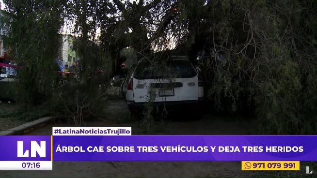 Trujillo: árbol cae en avenida Eguren y hiere a tres personas