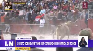 Ayacucho: sujeto sobrevive tras ser corneado en corrida de toros