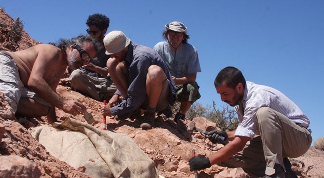 Científicos argentinos presentan el primer dinosaurio acorazado bípedo hallado en Sudamérica