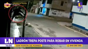 SMP: ladrón trepó poste y robó celulares, dinero y una laptop de una casa