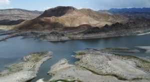 «Necesitamos lluvia»: Agricultores mexicanos, devastados por sequía en el norte