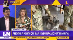 Rescatan a perrito que iba a ser sacrificado por terroristas