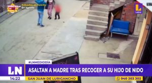 SJL: asaltan a madre tras recoger a su hijo de nido