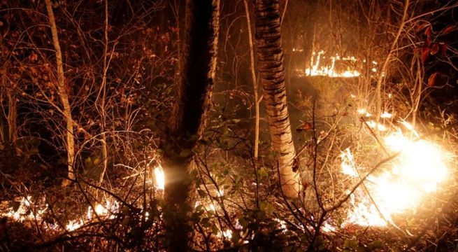 Incendios en Bolivia arrasan con casi un millón de hectáreas