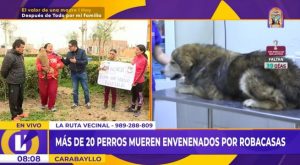 ¡Una crueldad! ‘Robacasas’ envenenan a más de 20 perros para cometer sus ilícitos