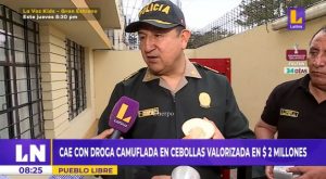 Pueblo Libre: hallan droga camuflada en cebollas valorizada en $2 millones