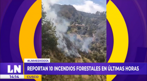 Reportan 10 incendios forestales en las últimas horas