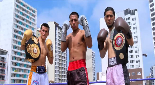 Boxeo profesional por las plataformas digitales de Latina