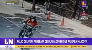 Miraflores: falso delivery arrebata celular a joven que paseaba a su mascota
