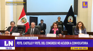 Presidente Pedro Castillo y José Williams no acudieron a Consejo de Estado