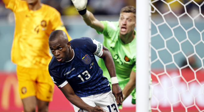 Países Bajos y Ecuador empataron por el grupo A de Qatar 2022
