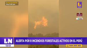 Alerta por ocho incendios forestales activos en Perú