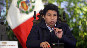 Pedro Castillo: Subcomisión aprueba acusación por traición a la patria