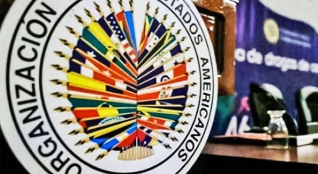 OEA: misión recomienda iniciar una “tregua política” mientras se convoca al diálogo
