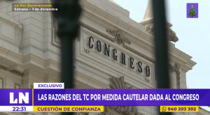 Las razones del Tribunal Constitucional para conceder medida cautelar que solicitó el Congreso