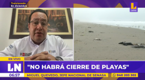 Gripe aviar en Perú: Senasa descarta cierre de playas en el litoral peruano