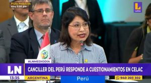 Canciller Gervasi responsabiliza a Pedro Castillo por la crisis en el Perú