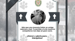 PNP rinde sentido homenaje a ‘Marquito’, perro asesinado en emboscada en el Vraem