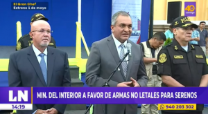 Respuestas contra la criminalidad: ministro del Interior a favor de armas no letales