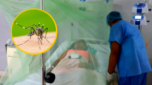 Dengue en Perú: tres fallecidos en Lambayeque