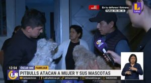 Perros de raza pitbull atacaron a mujer de 74 años y a sus mascotas 