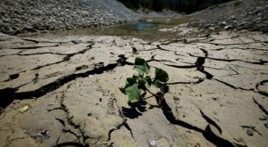 Alertan comienzo de El Niño en el planeta: ¿qué pasará en los países?