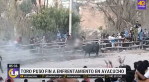 Ayacucho: toro embiste a joven en medio de una pelea