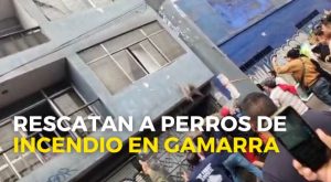 La Victoria: rescatan a 25 perros en medio de un incendio en inmediaciones de Gamarra