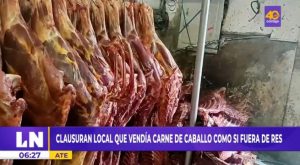 Municipalidad de Ate clausura local que vendía carne de caballo como si fuese res