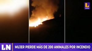 Ventanilla: pareja perdió 200 animales que criaba tras voraz incendio