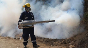 Fumigarán hasta 8.000 viviendas en Piura gracias a campaña “Juntos contra el dengue”