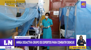 Ministerio de Salud desactiva grupo de expertos para combatir el dengue