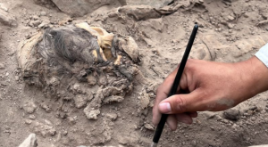 Hallan momia de unos 3.000 años de antigüedad en el Rímac